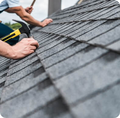 ROOF Maintenance Expert