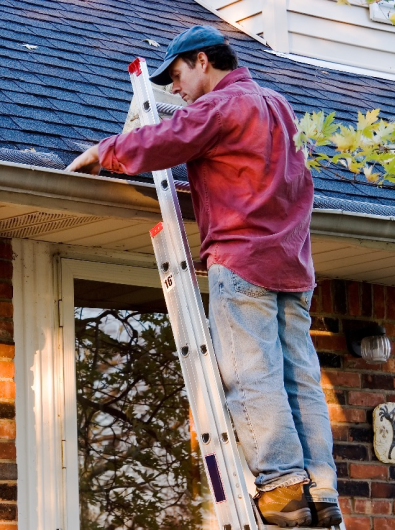 Roof Maintenance Services